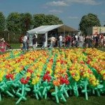 Ballonblumenmeer Ballonblumenmeer
