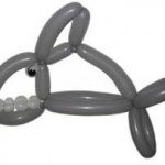hai 150x150 Balongalerie